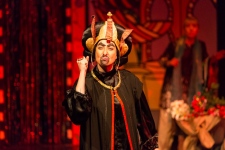 D.A-Aladdin-8